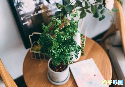 四月的朋友圈怎么发 关于四月的文案句子