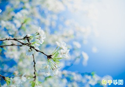 四月励志早安心语 四月正能量早安问候语