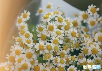 今日立夏怎么发朋友圈