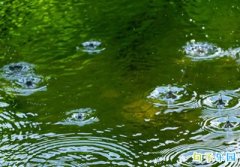 �ʺ����·��ľ����ľ���