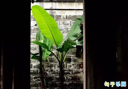 适合五月发的朋友圈文艺