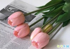 ĸ�׽��İ���� ����ĸ�׽ڷ���˵˵