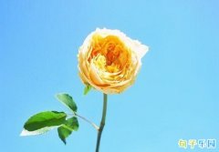 ������ʺ��������� ������ʺ�������ܰ