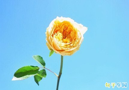 ������ʺ��������� ������ʺ�������ܰ