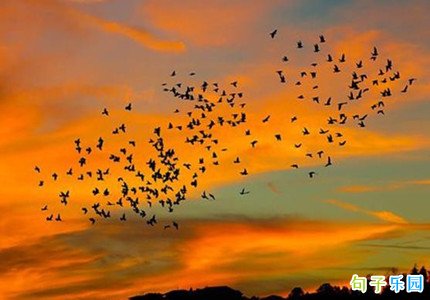 ��������ڰ���˵˵����