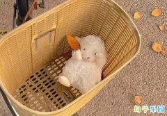 ����ǩ�����Ů������ �ռ�ǩ������̾�
