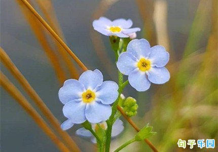 ���ķ�����Ȧ�ľ�������