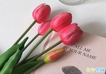母亲节鲜花店朋友圈文案