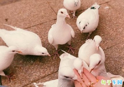 �����������Ӿ��ٶ̾�
