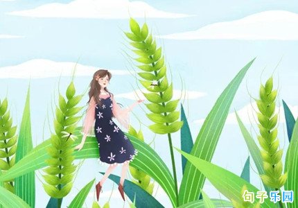 迎接小满的句子 2021小满说说文案