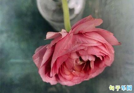 ĸ�׽ڵ�ף������ôдСѧ��