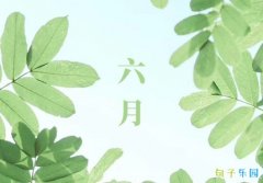 �ʺ����·��������İ�