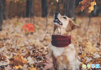 520���˽ڵ������İ�