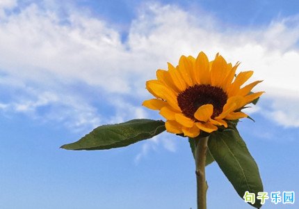 2021早上好的问候语 早上好的说说心情