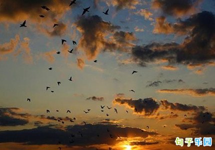 ���������ŵ��İ�������