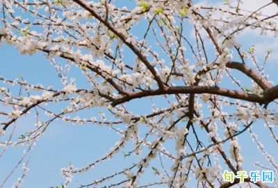 ���޵Ĺŷ��İ�����