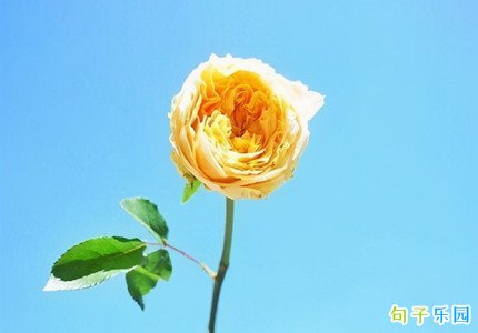 �ʺ�5��20�ո�׵ĸ߼��黰
