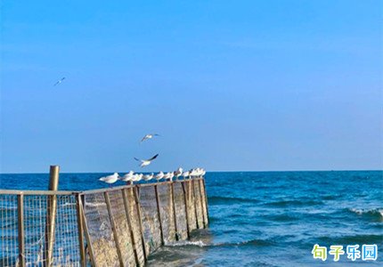ȥ�����淢����Ȧ�ľ�������