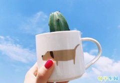���µ�һ���簲�̾�˵˵
