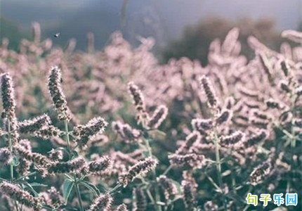 С�����İ��������� С���龭���İ��̾�