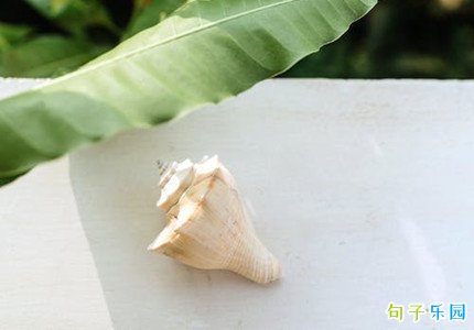 �߼�˵˵�İ� ����Ȧ�߼��İ��̾�