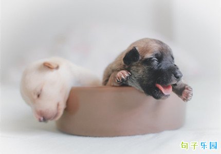 Ů�������ֵĿɰ�����