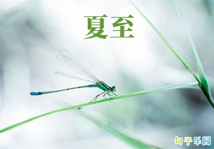 夏至的祝福语有哪些
