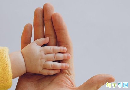 ף���׽��տ���ף����