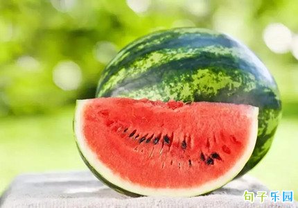 ������ٵ��İ� �ʺϷ���ٵ�����Ȧ�İ�