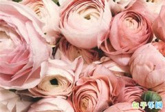 ɹ������İ� �ʺϸո��������黰