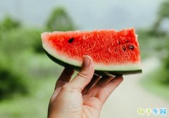 �ʺϳ����Ϸ���˵˵