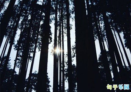 ��������ǩ���˸���ʹ��