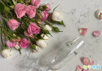 优质情感文案短句