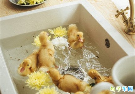 ���ʶ̾��İ� �����ĵĶ̾�