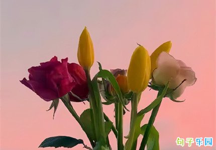 ���Ϻõ��İ� ���Ϻõ�˵˵����Ȧ