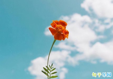 �������ص��İ��̾�