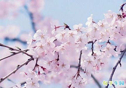 抖音最火古风文案 适合发抖音的古风文字