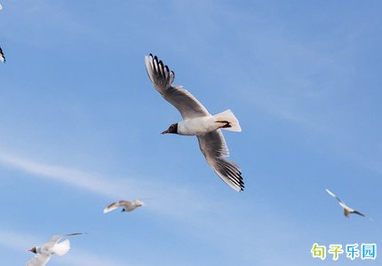 �Ķ������׻���������İ�