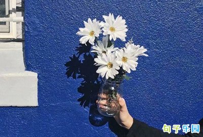 ����һ�۾��޵��İ��̾�