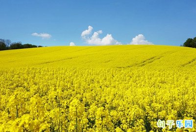 һ���Ӷ����øĵ�ǩ���̾䣬�����ֶ�һ�޶�