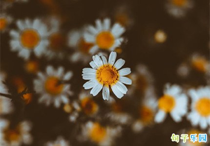 �����ʵ���־������¼