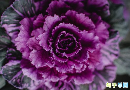 �ʺ�¼�����¼��Ƶ�Ķ̾�