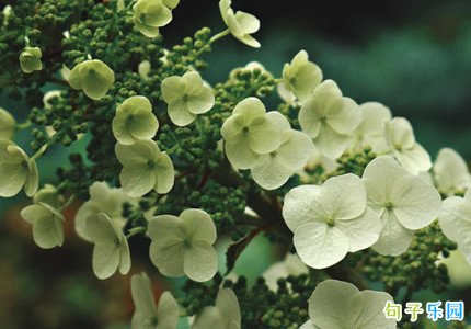 微信朋友圈伤感文案2021