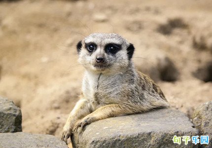 ��������õ��İ� ���ֿ��������ŵ��İ�