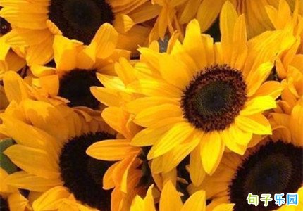 2021���˽ڵ�˵˵����