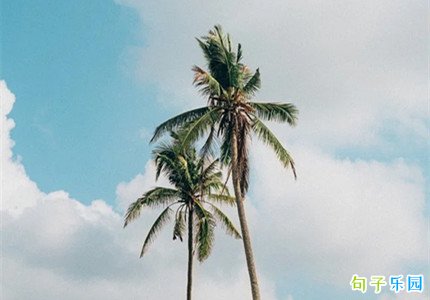��������ĸ���ǩ�� Ψ������Ů������ǩ��