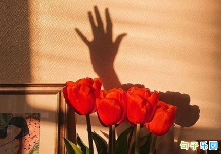 ���µ�һ���簲����