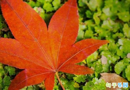 关于立秋的短信祝福语 立秋节气短信祝福语大全
