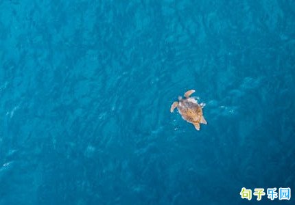 ������˼�Ķ̾�ǩ�� ���ٶ̾����ǩ��