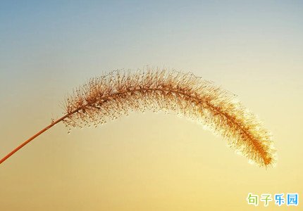 描写秋天的好句子简短